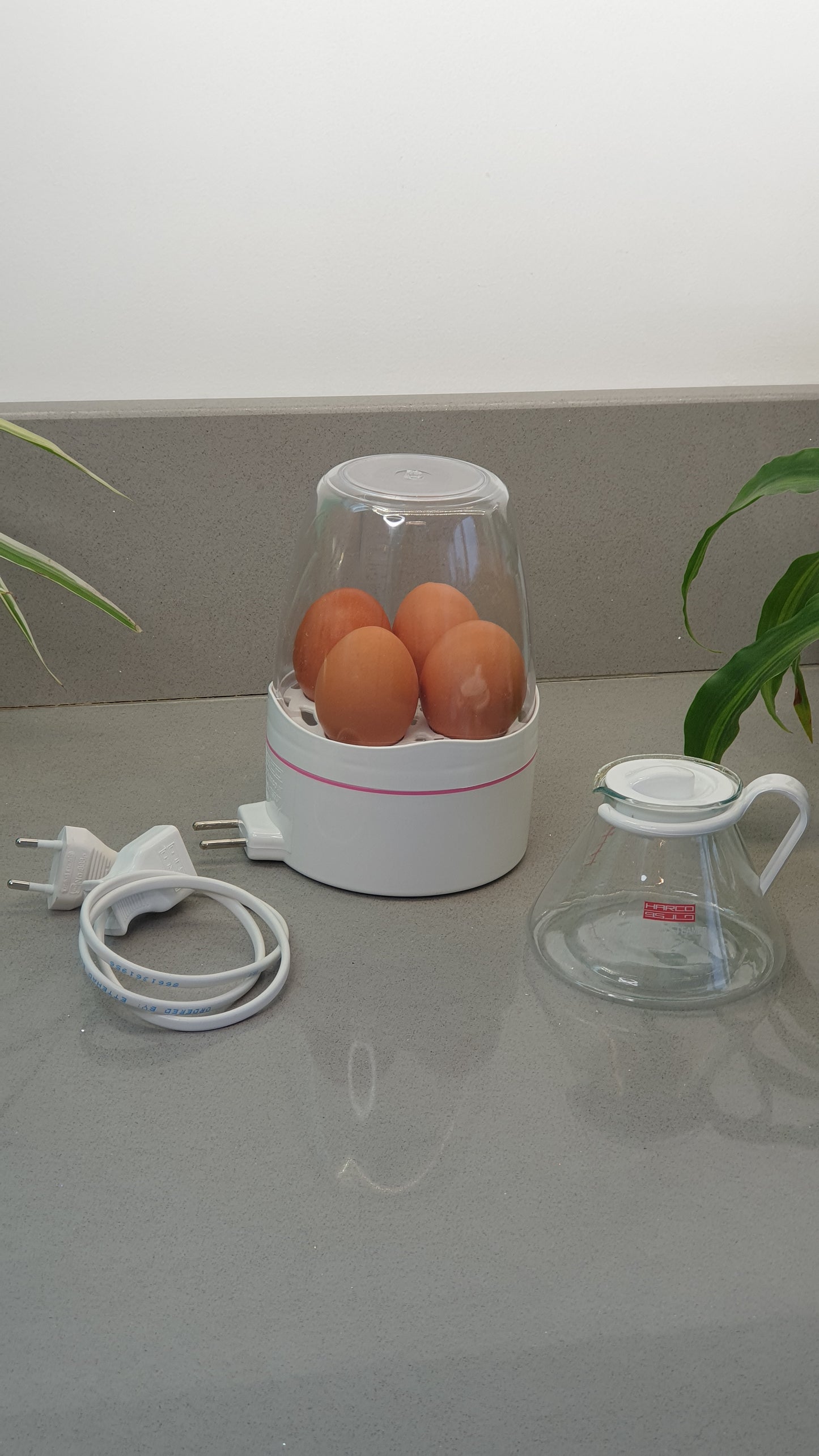 Saffron/tea Electric Steamer 4in1