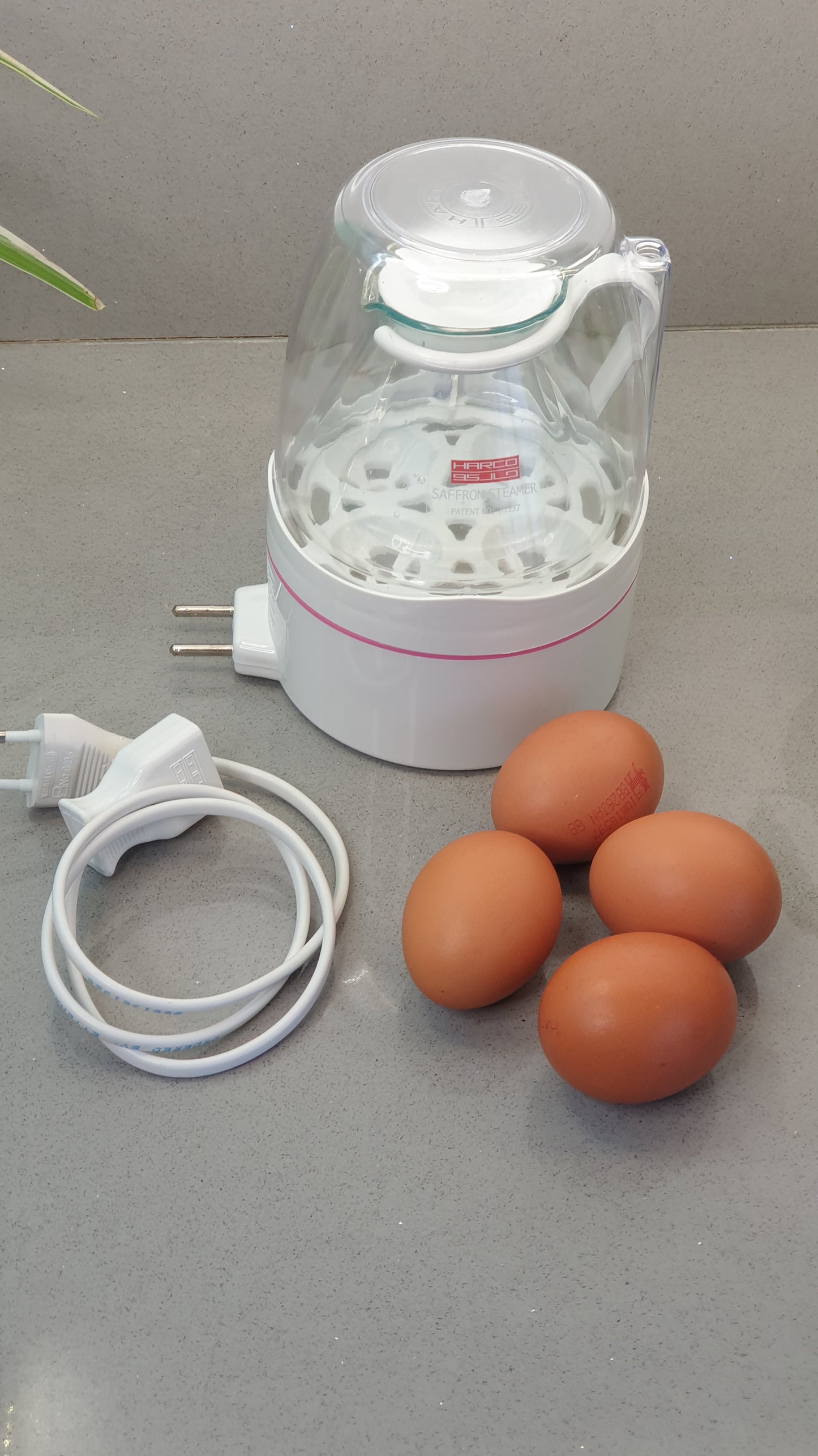 Saffron/tea Electric Steamer 4in1
