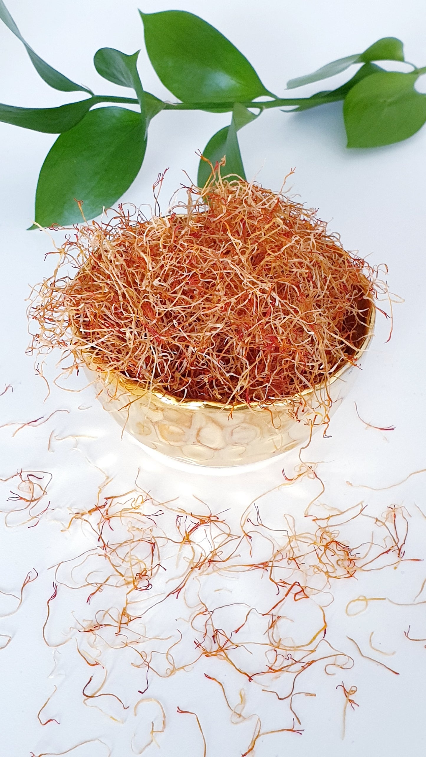 Saffron Root Grade One ( Khameh )